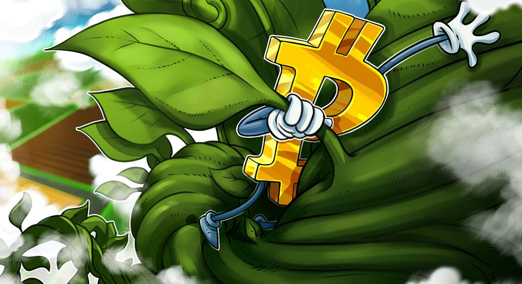 Bitcoin Shatters $31,000, Bears lose their shirts Screen Shot 2021 01 02 At 10.50.05 AM